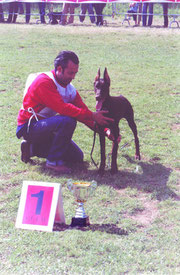 Maurizio D'Amico e Dominique di Monte Romano, Speranza AIAD 2004