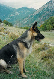 Greta in Abruzzo