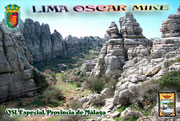 QSL Nº 31 - P.M.