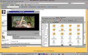 Mint Linux mit Motiv GUI Quelle: www.moellerjaner.de