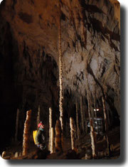 Enara, Guías de Montaña y Barrancos