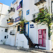 Tira Palla Gay-Bar in Ibiza-Stadt La Marina