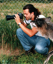 Wolf Park, Indiana USA – Apollo´s greeting