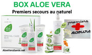 L'aloe vera est une plante à intégrer dans sa pharmacie pour soigner tous les bobos et dans son alimentation sous forme de gel à boire