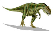 Bild eines Allosaurus