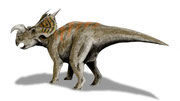 Bild eines Einiosaurus