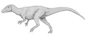 Bild eines Magnosaurus