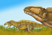 Bild eines Acrocanthosaurus