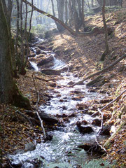 Traumschleife Baybachtal