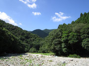 自由テント村遠景