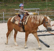 Reiten auf Navarro September 2013