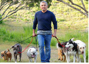 César Millán paseando perros.