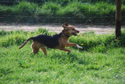 Redondo im Vollspeed