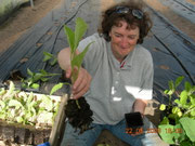 Sophie en train de planter