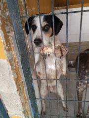 Floyd, noch in der Tötung