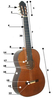 Partes de la guitarra española o clásica: 1. Cabeza y clavijeros, 2. Cejilla, 3. Clavija, 4. Trastes, 7. Mástil, 8. Cuello, 9. Caja (clásica) o cuerpo (eléctrica), 12. Puente, 14. Fondo, 15. Tapa (arm