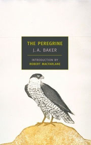 The Peregrine by J A Baker