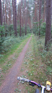 Radweg Natur pur