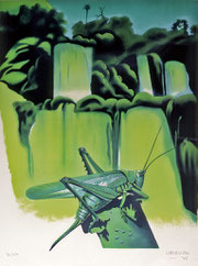 Nicolas Uriburu, L'Insecte et la chute d'Iguazou, 1975, lithographie, 76 x 66 cm, collection artothèque du musée des beaux-arts de Brest