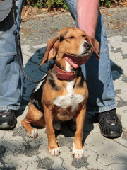 Olli am 01.05.2012