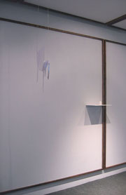 installation view of 'a lie' and 'untitled'