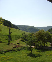 Aussicht von der Wohnung