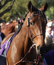 Goldikova gewinnt die Breeders Cup Mile zum zweiten Mal nach 2008