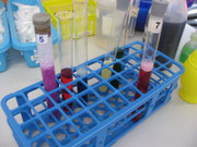 Farbenzauber