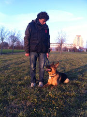 Educatore cinofilo Passion for Dogs