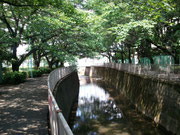 夏の神田川