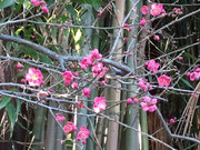 ~~もうすぐ3月~~