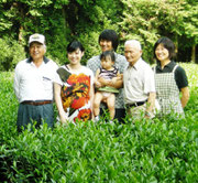 お茶農家4世代