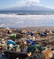 Kanapou Bay, Kaho‘olawe, Hawaii by NOAA's National Ocean Service / CC