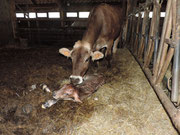 Ferme du Grand Hêtre