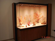 Schowcase for corals