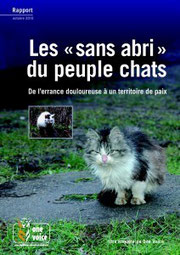 Cliquer sur l'image pour lire le rapport sur les chats "sans abris"
