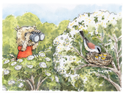 Der Steinkauz Fabian ist mit dem Fernglas in den Händen im Wald unterwegs. Um ihn herum sind viele Bäume mit verschiedenen Waldtieren und drei Kindern, die diese entdecken und dort spielen.