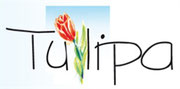 www.tulipa-scheessel.de