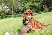 10.5.mit Mama im Garten spielen