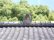 赤山禅院の猿