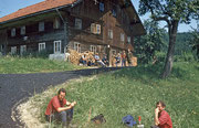 Das alte Reisingerhaus am Rothauptberg