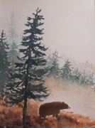 L'ours des Pyrénées, aquarelle sur papier