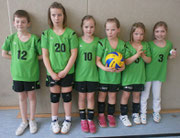 Gruppenfoto Volleyball Bambinis