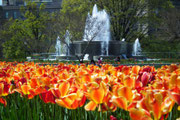 Wasserspiel und Blumenpracht schön vereint