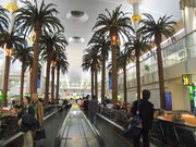 2½ Std. «Beine vertreten» im fantastischen Airport mit künstlichen Palmen