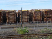 Holz, Holz und nochmals Holz