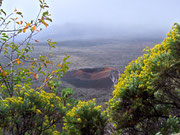 . . . auf dem «Piton de la Fournaise».