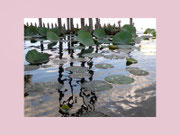 am Inlesee