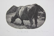 「牛と草の風景」木口木版画　"Landscape of  Cow and Grass"   Wood Engraving   2013  9ｃｍ×13cm　