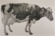 「701全身図」　板目木版画　"The Whole Body of 701"   Woodblockprint on paper  2018  182cm×273cm